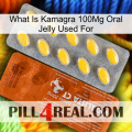 What Is Kamagra 100Mg Oral Jelly Used For 42